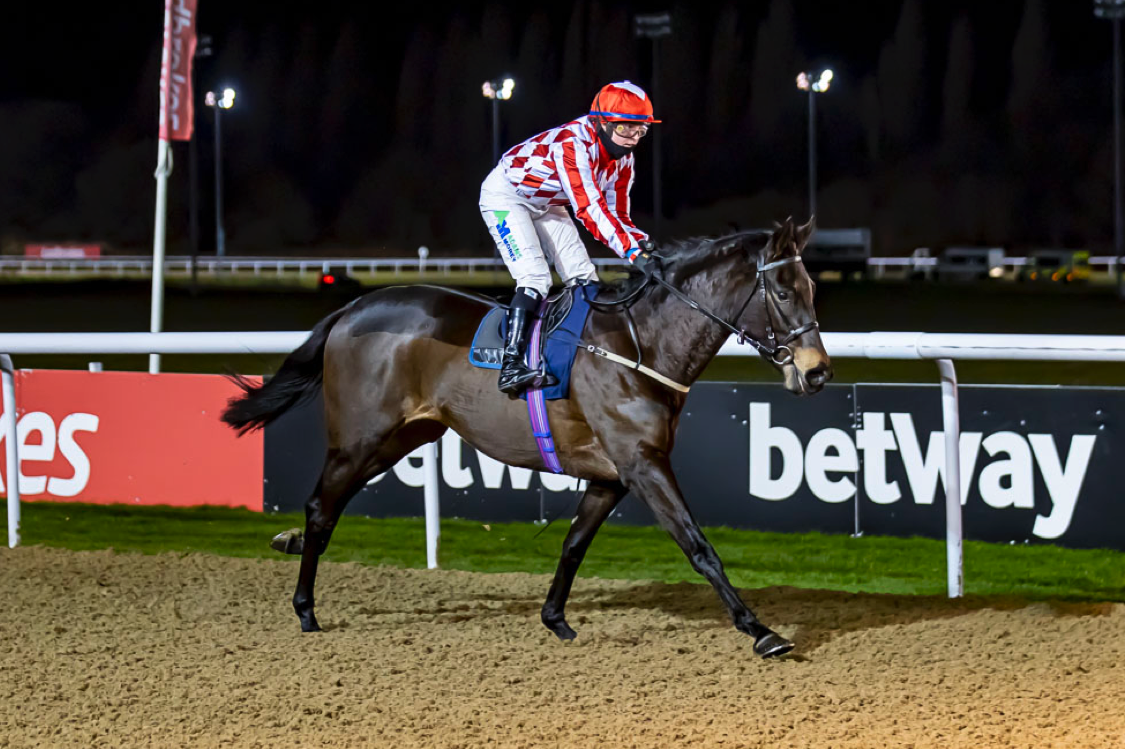 Racehorse Ownership Own a share in a racehorse for a year.