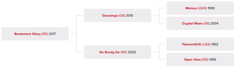 Boolamore Glory Pedigree