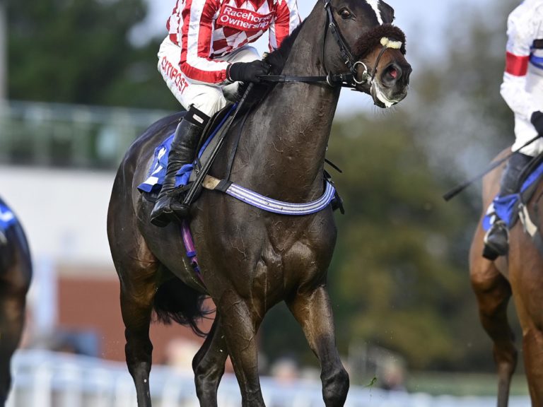 Rock of Star Exeter 1