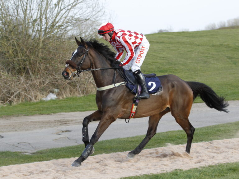 Rock Of Star at Chepstow. 24/3/2022 Pic Steve Davies