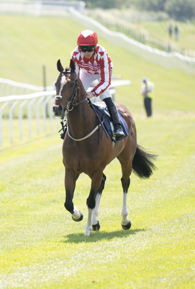 220517 DCOOL BrightonRacing-92