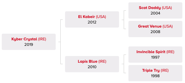 Kyber Crystal Pedigree