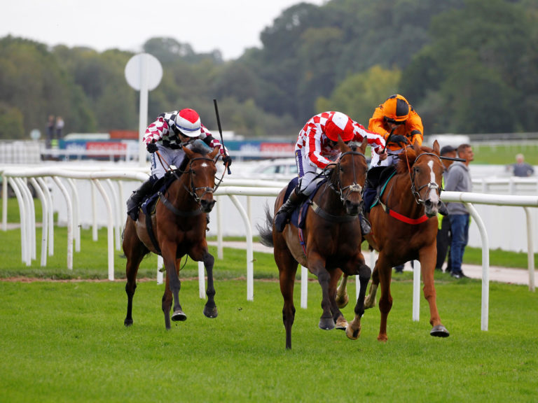Uttoxeter 7 Sept 2022. Pic Steve Davies