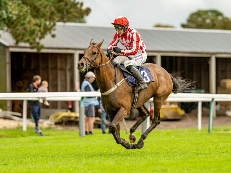 240908 DCOOL FONTWELLRaces-201