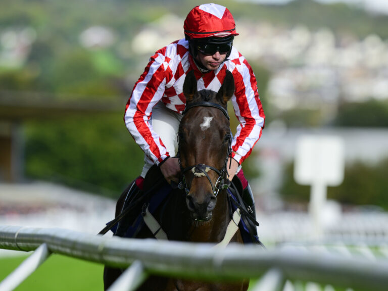 Newton Abbot Races, Newton Abbot, UK – 21 Oct 2023