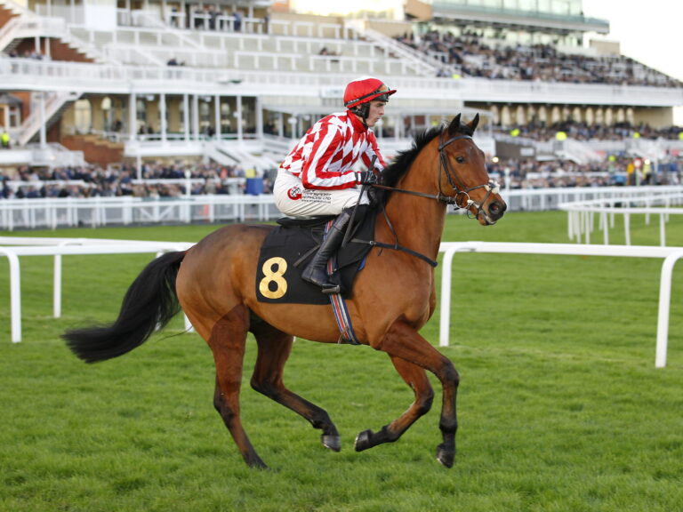 Aintree. 11/11/2023 Pic Steve Davies