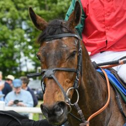 Race 2 - The Melton Hunt Club at Garthorpe, Sunday 22 May 2022. 
© 2022 Nico Morgan. All Rights Reserved