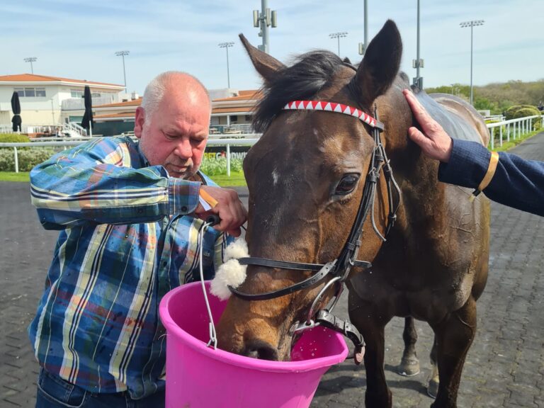 Adelabella Chelmsford