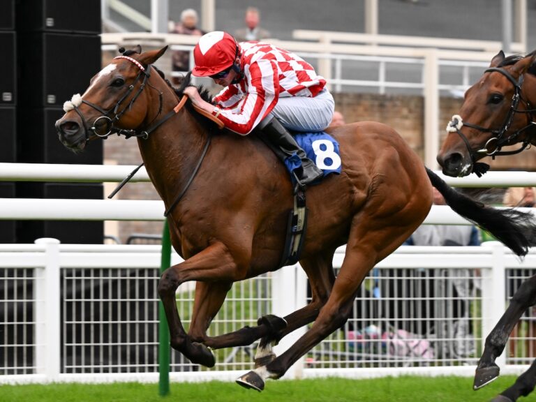 Race Updates Archives Page 29 of 122 Racehorse Ownership