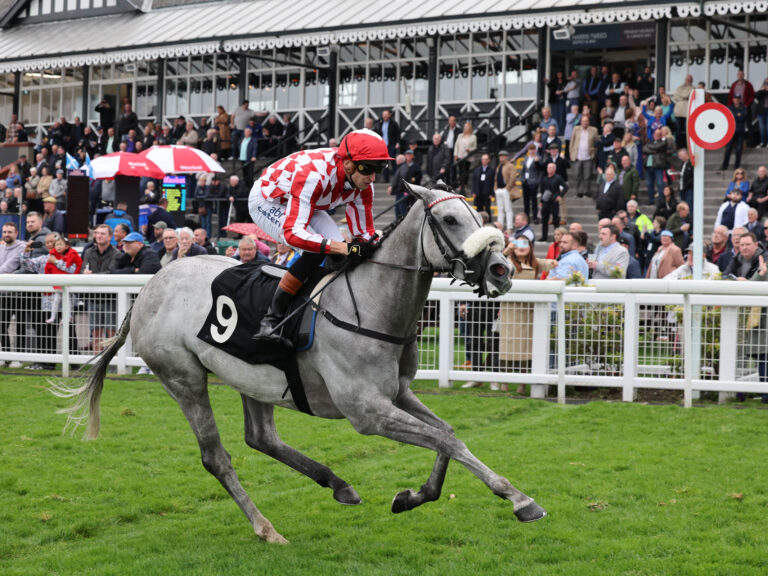 NBY411 KYBER CRYSTAL